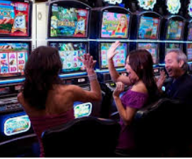 ayx官方app2024最新版