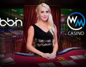 ayx官方app2024最新版